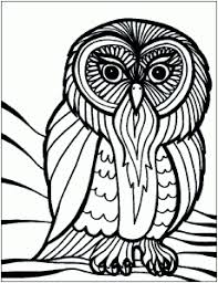 Free coloring book of 48 species. Birds Free Printable Coloring Pages For Kids