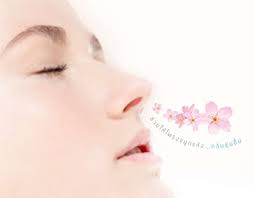 Magazineads Magazine Ad Projects :: Photos, videos, logos, illustrations  and branding :: Behance