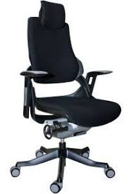 Eurotech Wau Series Mesh Office Chair With White Frame By Raynor From Office Chairs Outlet Learn More By Black Office Chair Office Chair Mesh Office Chair