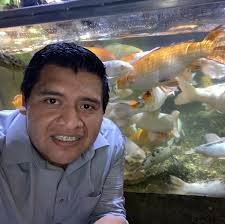 How to get quotes for ceiling fan installation?