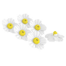 209, 211, 216, 260p, and 262 hummingbird feeders blister pack contains 9 yellow plastic flowers per pack brand. More Birds White And Yellow Replacement Nectar Flowers At Menards