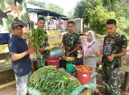 Baca juga >> cara kira bmi online. Berharganya Sayur Sayuran Di Tapal Batas Ri Malaysia D News Radio