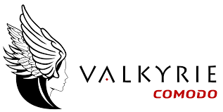 Twitch night lights twitch logo sign twitch streamer gift. Advanced File Analysis System Valkyrie