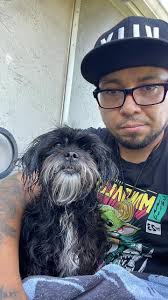 Emergency dog sitter needed in Altamonte Springs, Florida