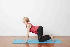 The european pregnants woman have sound body during pregnancy period. How To Do Cat Cow Stretch Chakravakasana