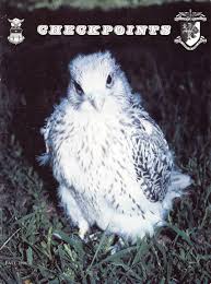 Image result for Beige Antelope 1983 Fleet