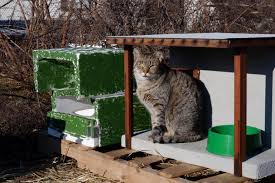 You do not have to be a nyc resident to be seen. Brooklyn Animal Lovers Care For Feral Cat Colony At The Columbia Street Waterfront Amnewyork