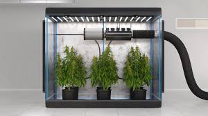How to Set up a Grow Tent Ventilation System: Step by Step Guide |  TerraBloom