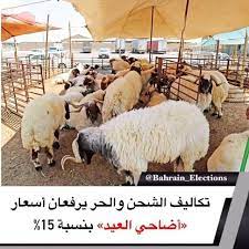البحرين تكاليف الشحن والحر يرفعان أسعار أضاحي العيد بنسبة 15 أكد تجار مواش أن تأخر وصول شحنة المواشي للمملكة وتوقف صادرات السودان من الموا animals bahrain