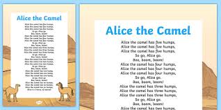 As humans we skim the surface of the earth but disfigure it so for what we class as worth. Alice The Camel Primary Resources