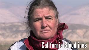 Who's Gonna Build Your Wall