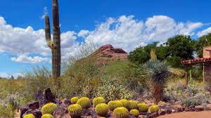 Check spelling or type a new query. Sonoran Desert Nature Walks Hiking Trails In Phoenix