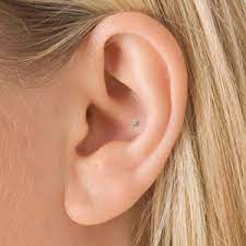 18k White Gold 1 5mm Invisible Set Diamond Ball Flower Conch Stud 185 Cute Ear Piercings Ear Piercings Piercings