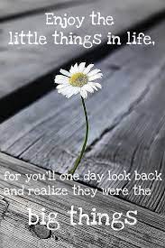 Check spelling or type a new query. Enjoy The Little Things Quotes Quotesgram