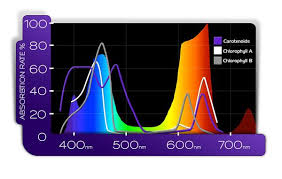 Understanding Targeted Full Spectrum Led Grow Lights And Par Readings Kind Led Grow Lights