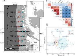 Molecular physiology of Antarctic diatom natural assemblages and bloom  event reveal insights into strategies contributing to their ecological  success