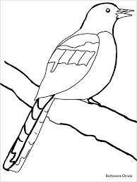 20 Bird Templates Colouring Pages In 2020 Desene Fluturi Colorat Pentru Copii