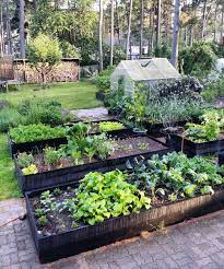1 483 Likes 20 Comments Mari Hotti Gardener Marihotti On Instagram Kitchen Garden Kei Backyard Raised Garden Beds Backyard Raised Garden Garden Beds