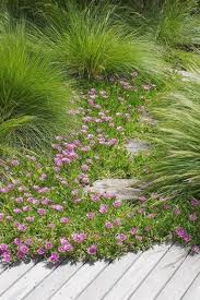 Romantic Franchesca Watson Garden Designer Great Gardens Ideas Garten Garten Pflanzen Pflanzen