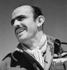 Lance Cleo “Wildcat” Wade (1916-1944)