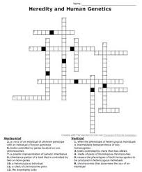 Crossword puzzle answer key genetics. Genetics Crossword Puzzle Worksheets Teaching Resources Tpt