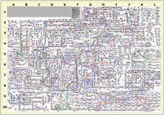 Biochemistry Of The Human Cell Schematic Diagram Shows Its