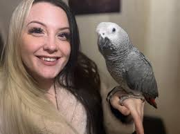 I don't have an African Grey. Wish I did. The only time I was near a Grey  was visiting my sister in Michigan. We were told that he talks up a storm.
