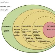 Pdf Widening The Evaluative Space For Ecosystem Services A Taxonomy Of Plural Values And Valuation Methods