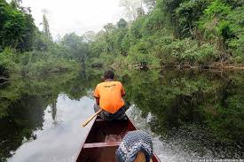 Taman negara (national park) is one of the oldest virgin rainforests in the world, over 130 million years old. Taman Negara Nationalpark Sehenswurdigkeiten Anreise Unterkunfte