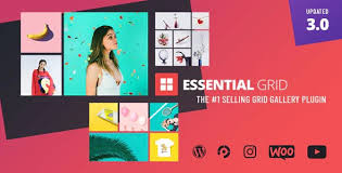 However, if you want to further explore your options, we recommend that you check out some of the many useful wordpress photo gallery plugins. Wordpress Galleries Plugins From Codecanyon