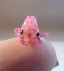An Adorable Baby Octopus Tiny Baby Animals Baby Animals Funny Baby Octopus