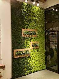 Celebrate the recent trend for vertical garden installations and living walls, by learning how to make an impactful succulent frame wall art display. 60 Green Wall Gsky Etc Ideas Green Wall Vertical Garden Living Wall