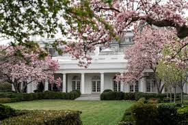 How the white house's rose garden became a place of political power and the history behind jackie kennedy's and bunny mellon's vision for it. A New Petition Asks Jill Biden To Undo Trump S Rose Garden Changes