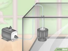 Ghost shrimp are one of the best behaved aquarium inhabitants you could ask for. 3 Ways To Take Care Of Ghost Shrimp Wikihow