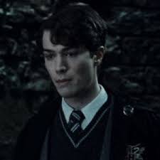 Icon Tom Riddle Christian Coulson Tom Riddle Harry Potter Cast