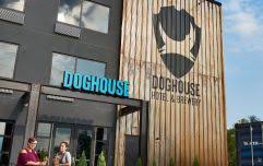 Bermondsey barrels cider gluten free? Brewdog Are Giving Away Free Beer To Everyone In The Uk Joe Co Uk