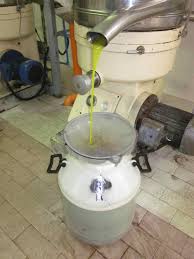 Olive Oil Press Zeytinyagi Gida Zeytin