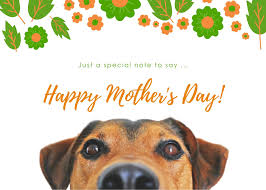 Different countries celebrate mother's day on different dates. Jacksonville Humane Societymother S Day Card 2021 Jacksonville Humane Society