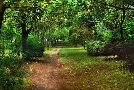 Easy for your child to hold. Park City Landscape View Wallpaper Foto Murals Beautiful Cool Nature Pxfuel