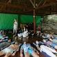 Reiki Intensive & Mastery Teacher Training event image