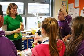 Lynn Stocks (@lynn_stocks)