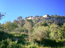 Paraje Natural Castillo Xativa De Fondo Rutas Xativa Herbalhispano Paraje Natural Rutas Castillos