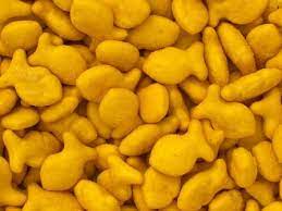 Can Dogs Eat Goldfish Crackers