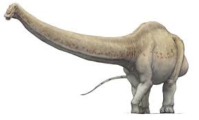 Find more ways to say fossil, along with related words, antonyms and example phrases at thesaurus.com, the world's most trusted free thesaurus. The Evolution Of Life On Earth The Earth Shaking Lizard Seismosaurus 1991 In 2020 Prehistoric Animals Ancient Animals Paleo Art