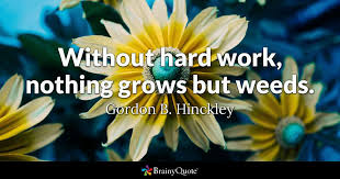 Ratusan atau bahkan setiap hari,, bukan? Apa Quotes On Hard Work Quotations Work King Bjgmc Tb Org Dogtrainingobedienceschool Com