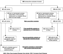 autopsy prevalence of coronary atherosclerosis in patients