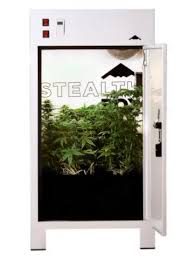 Maybe you would like to learn more about one of these? 10 Best Stealth Grow Box Top Grow Box For Beginners Experts