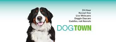 Ohio ground and airline shipping: Dogtown Huber Heights Sit Stay N Play Dog Park Home Facebook