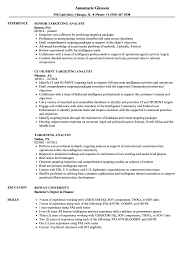 In this article, you'll learn how to tailor your resume to get jobs. Targeting Analyst Resume Samples Velvet Jobs