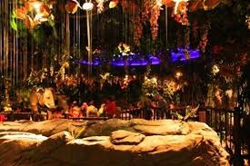 Image result for the rainforest cafe london